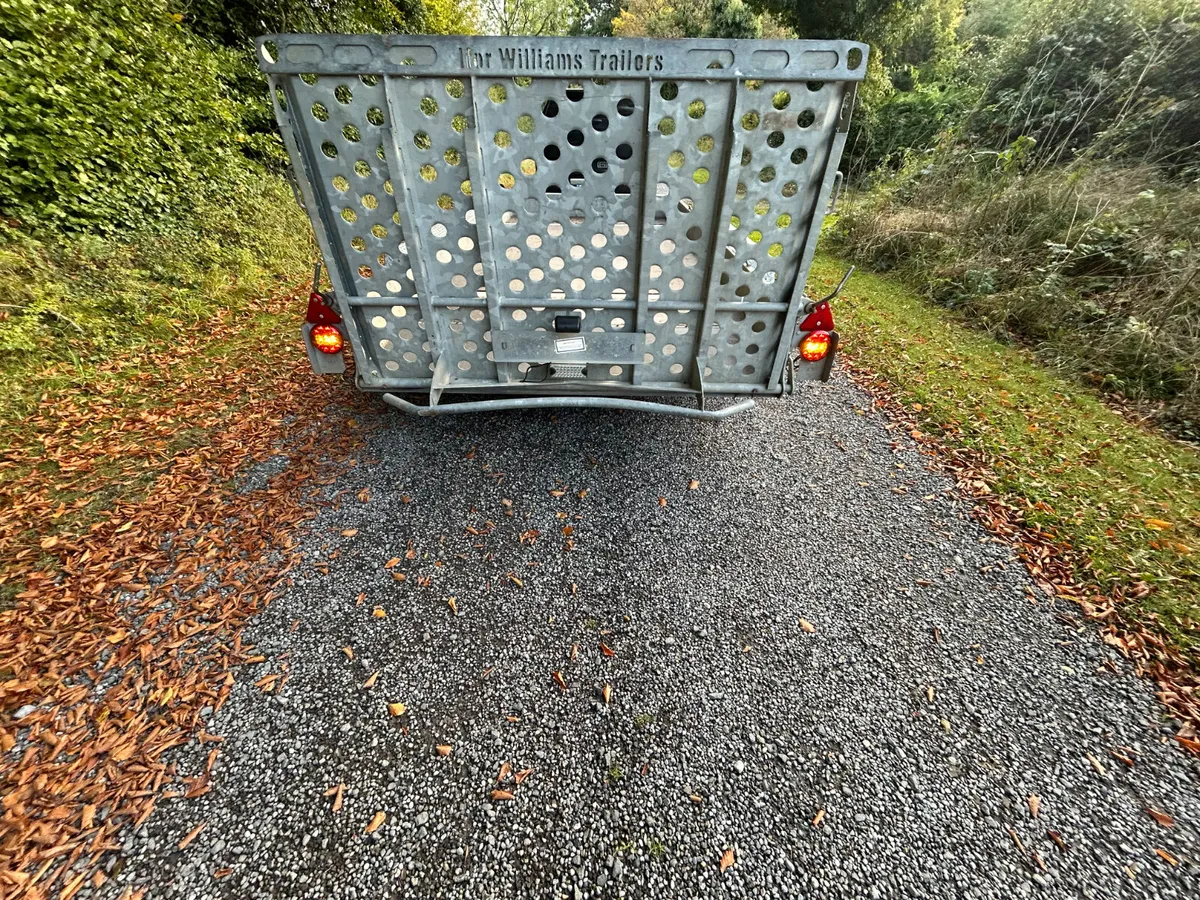Ifor Williams 14x6 Tri Axle Plant Trailer - Image 2