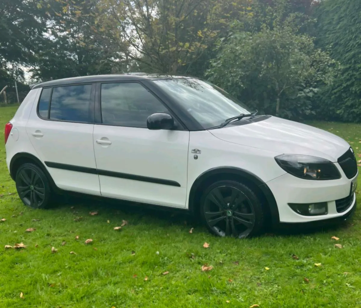 Skoda fabia - Image 1