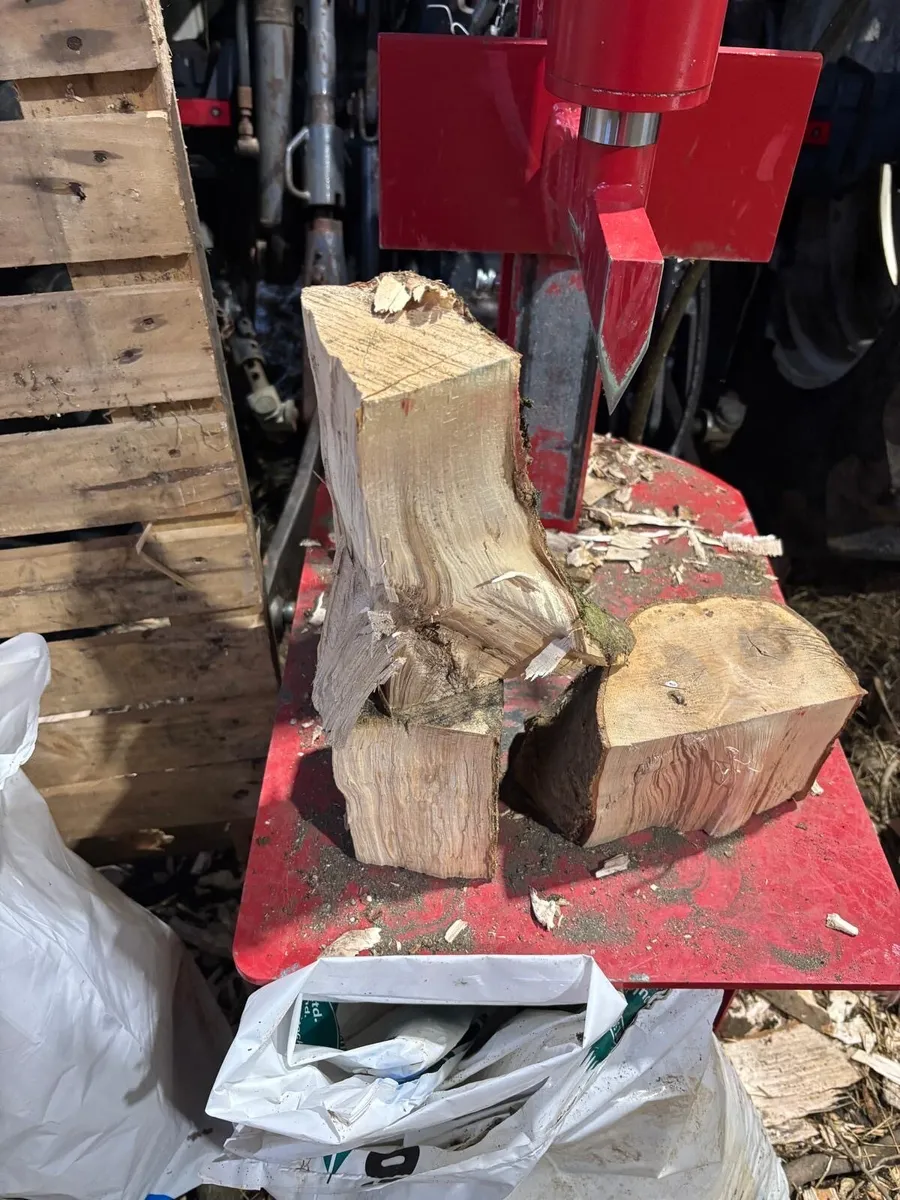 Fire wood - Image 4