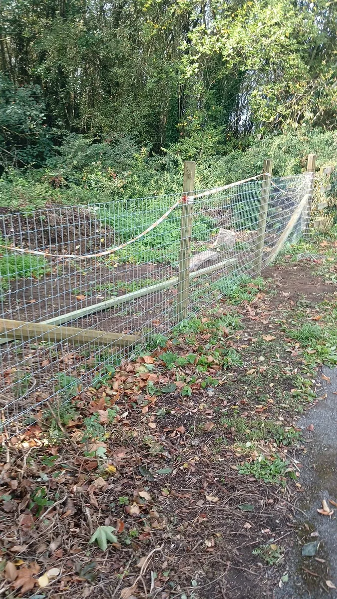 Fencing contractor - Image 3