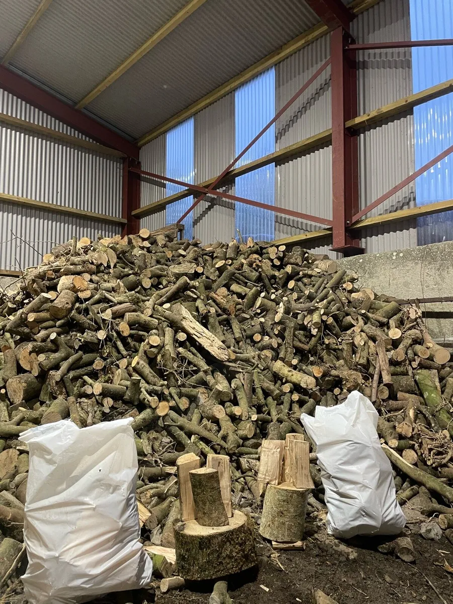 Fire wood - Image 1
