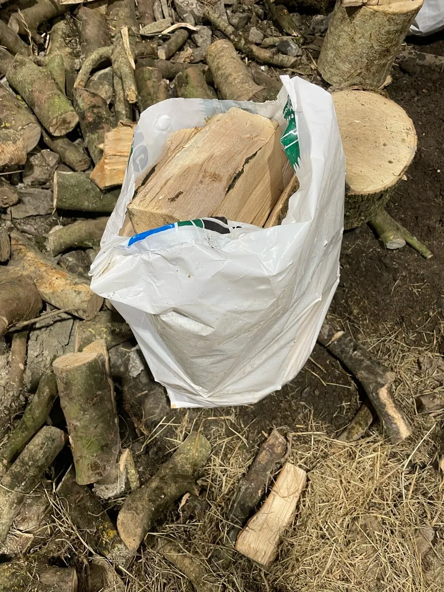 Fire wood - Image 2