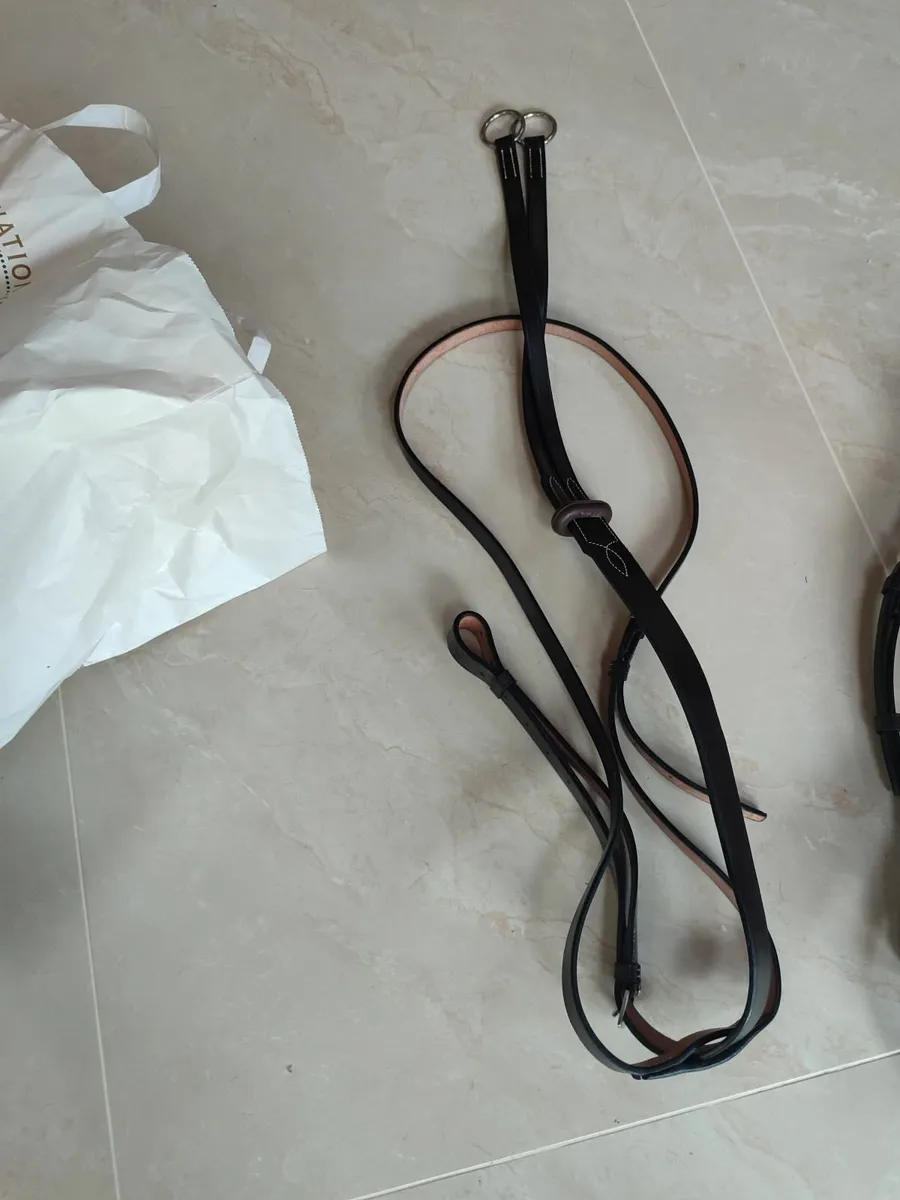 Bridle - Image 1