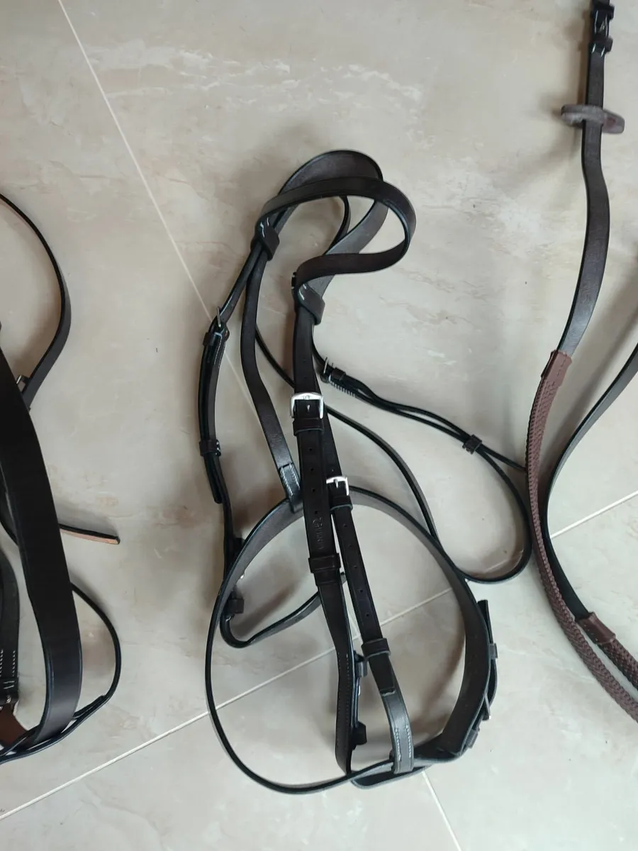 Bridle - Image 2