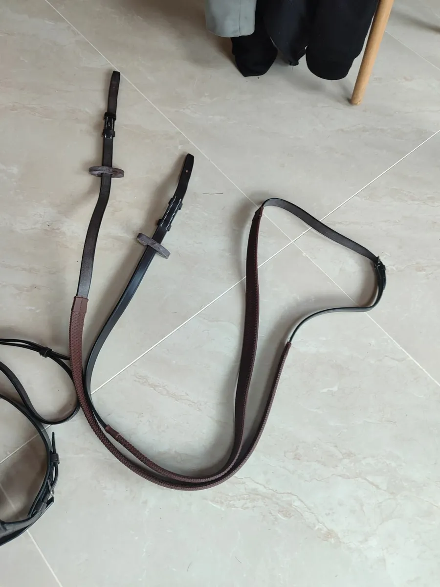 Bridle - Image 3