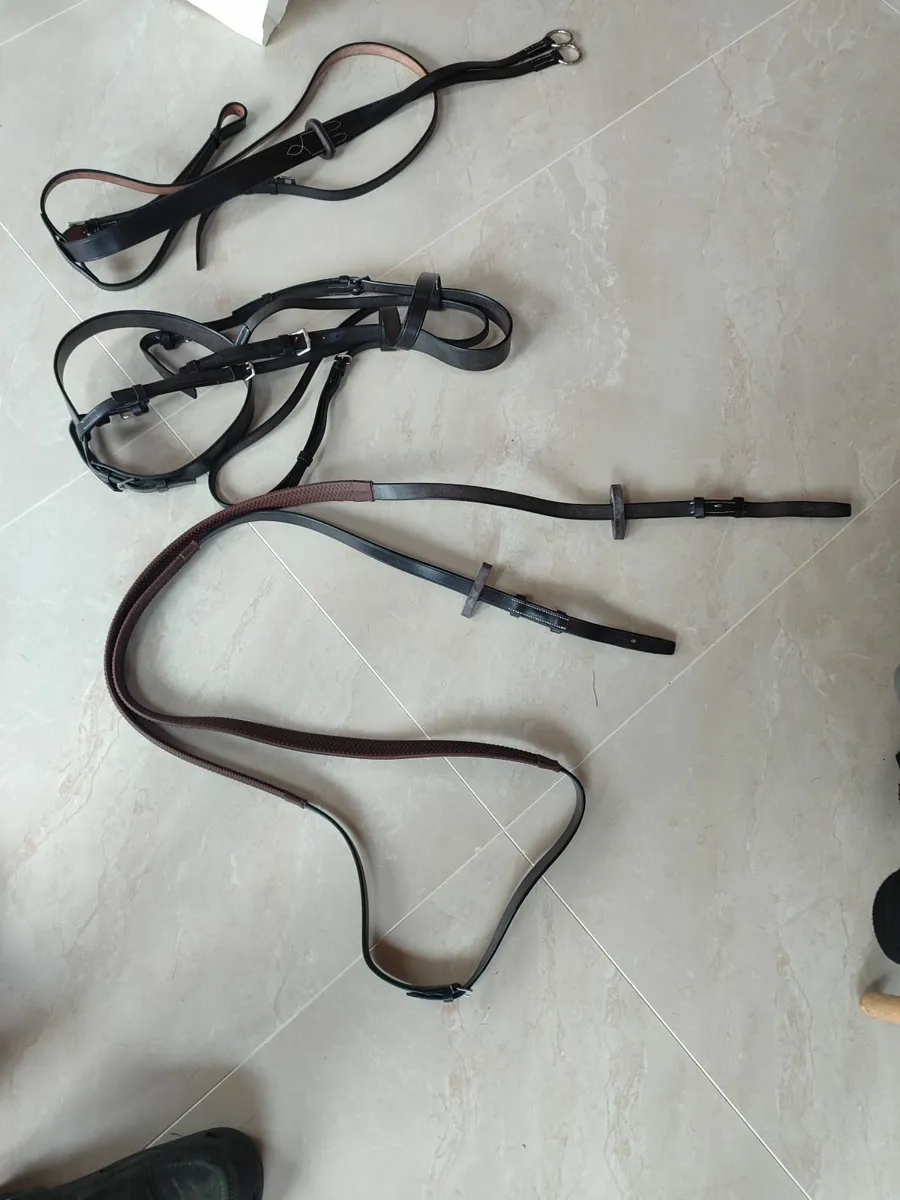 Bridle - Image 4