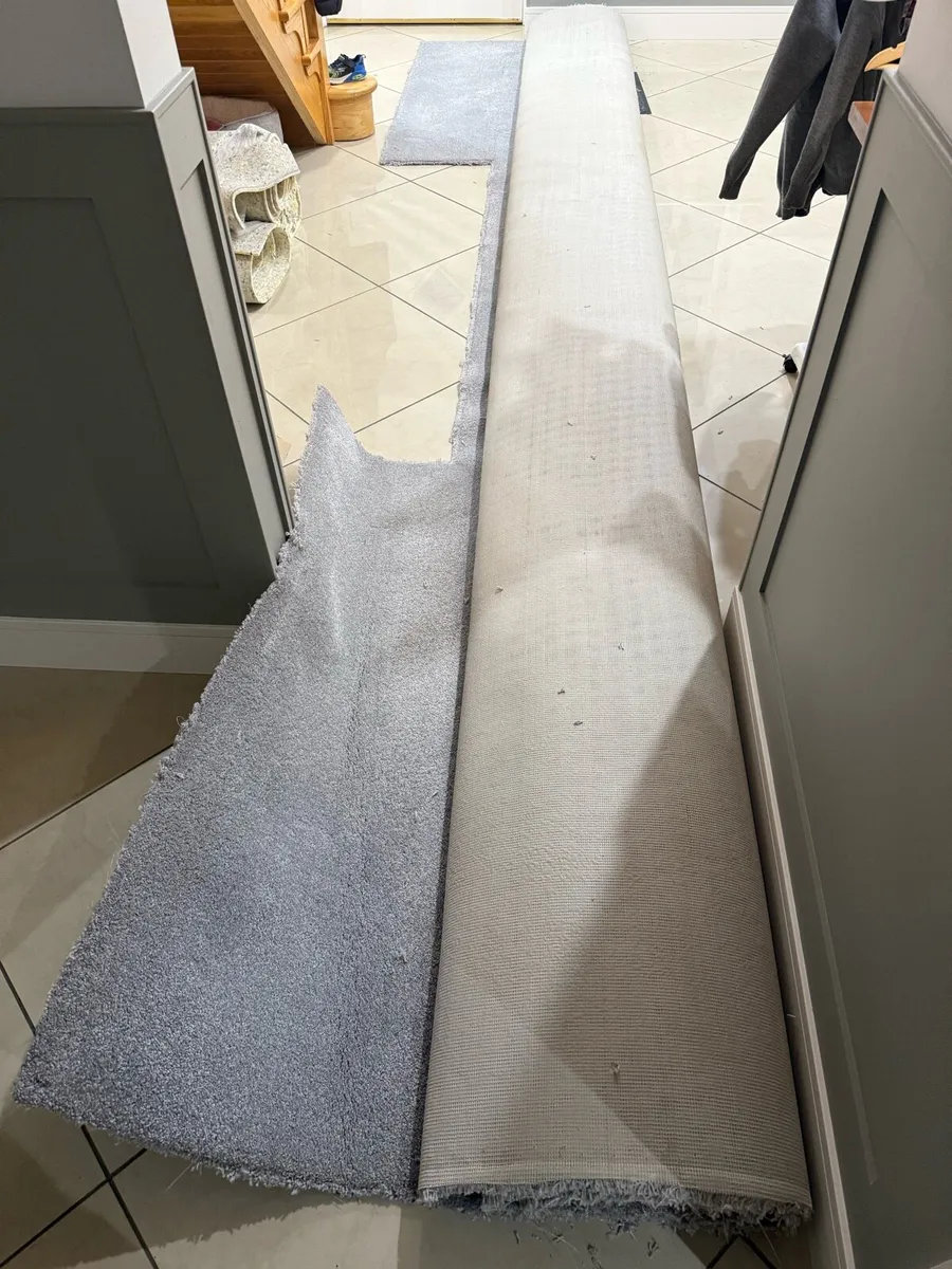 Primo Grande Carpet - Image 2