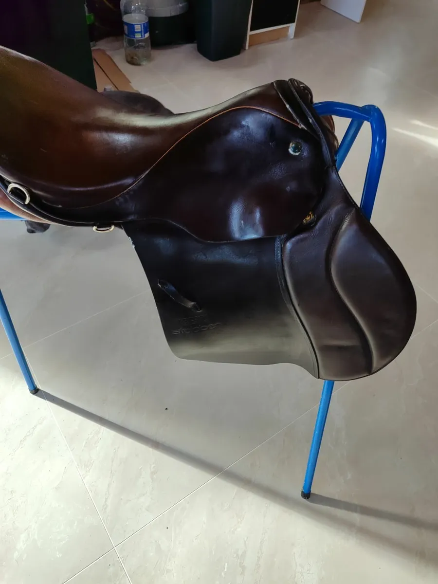 Saddle - Image 2