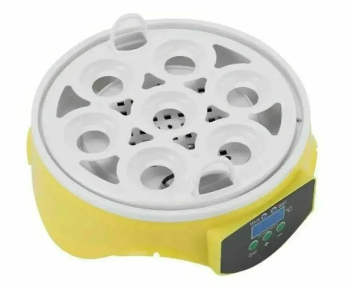 Egg Incubator 7 Eggs – Compact Temperature Control - Image 4
