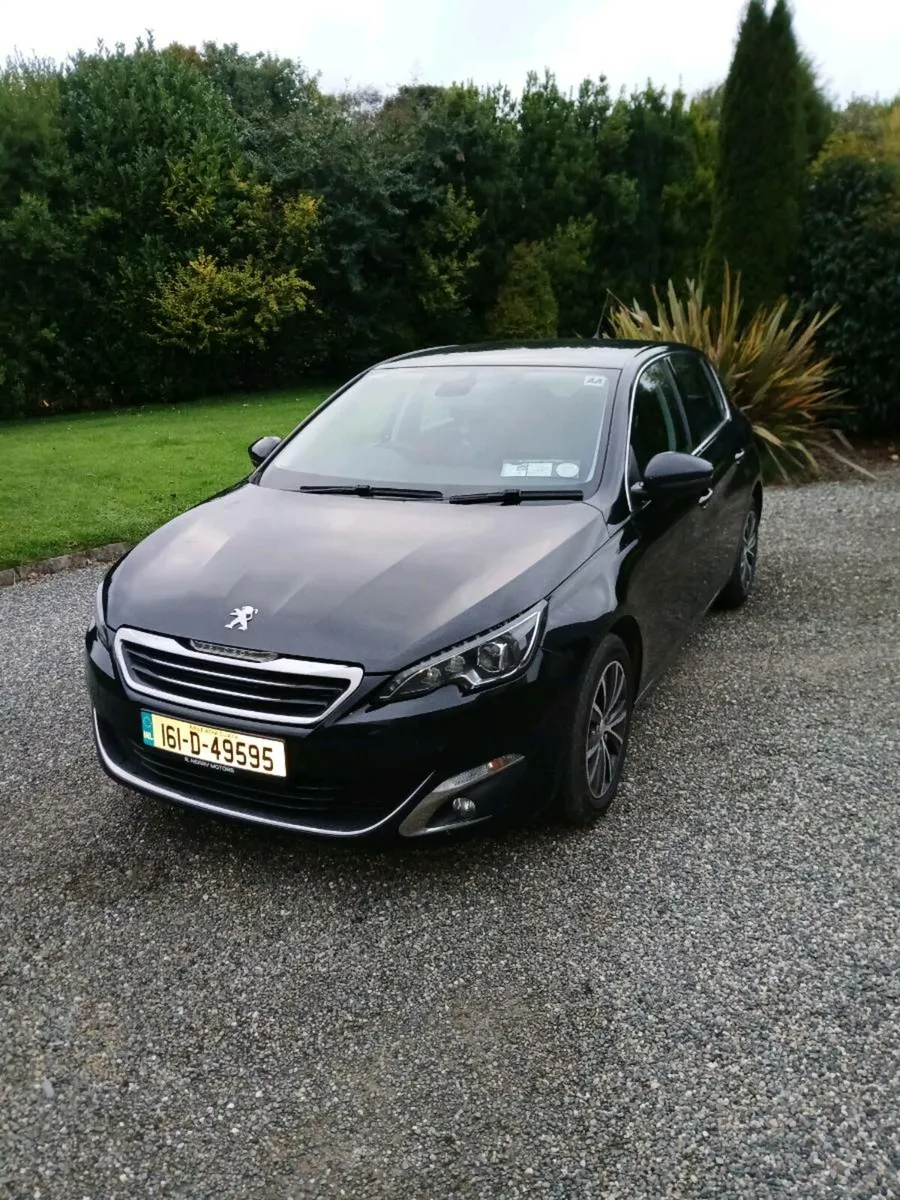 161 Peugeot 308 - Image 1