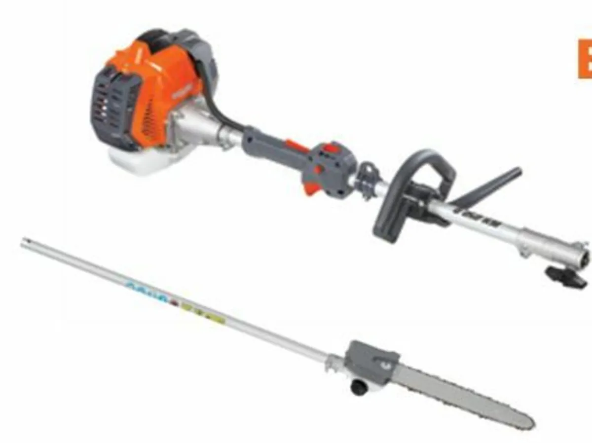OleoMac Pole Saw - Image 2