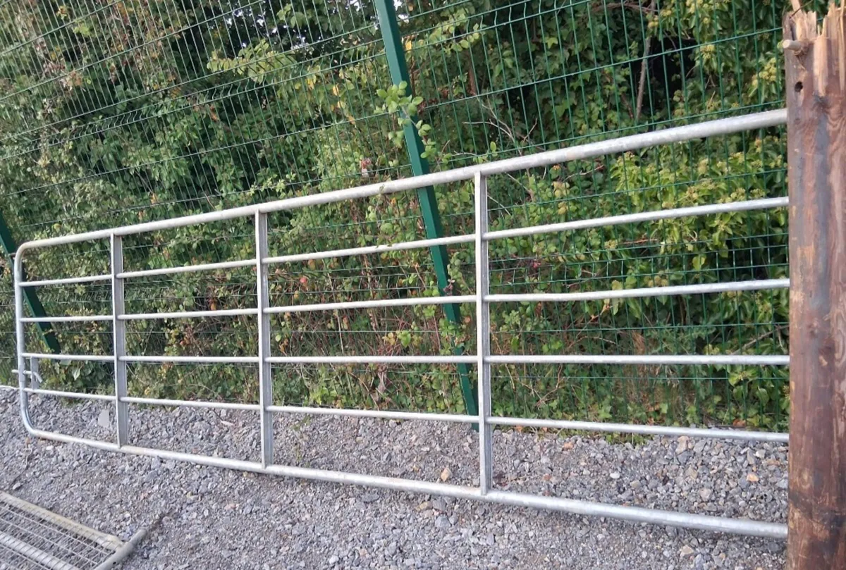 Galvanised gate