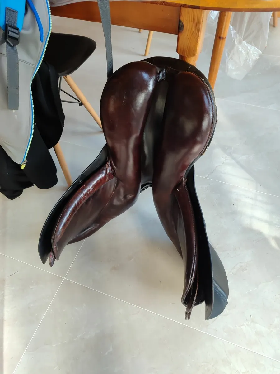 Saddle - Image 3