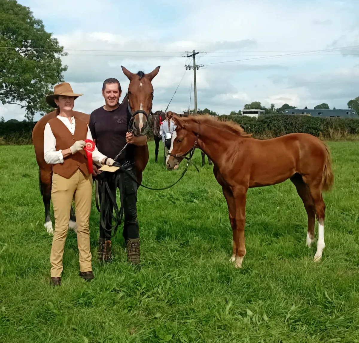 Winning Show Foal for sale - Image 1