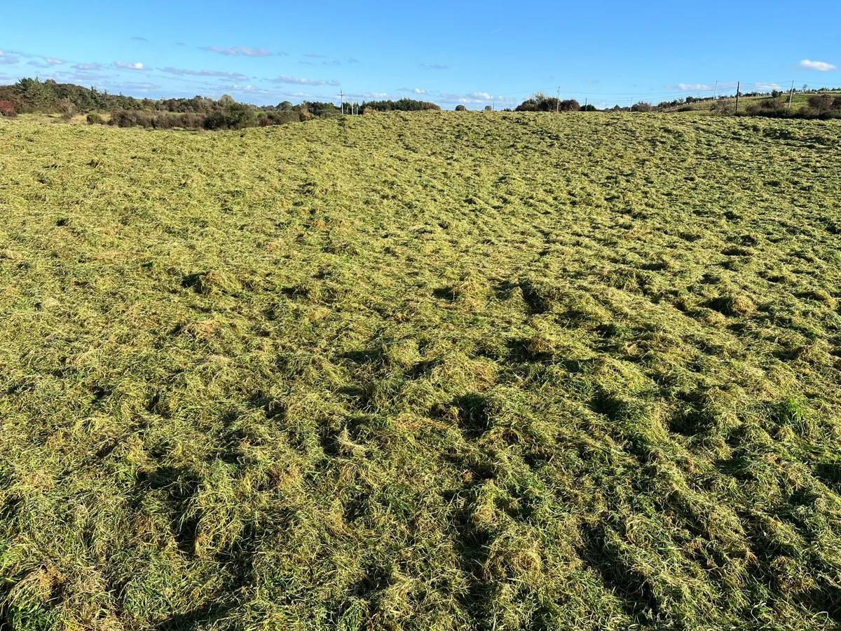 Silage