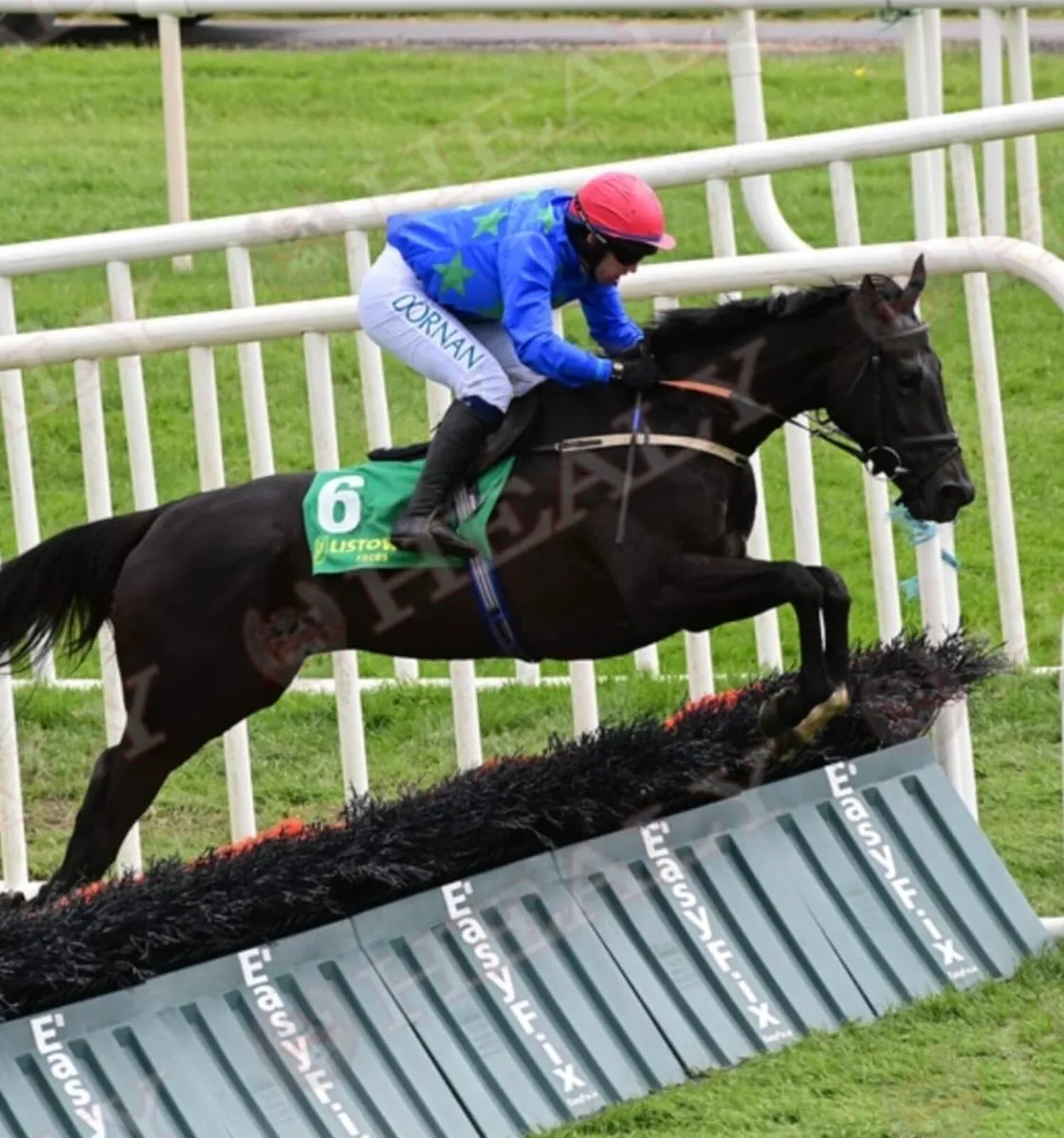 Ideal Racing Novice Rider Prospect - Image 1