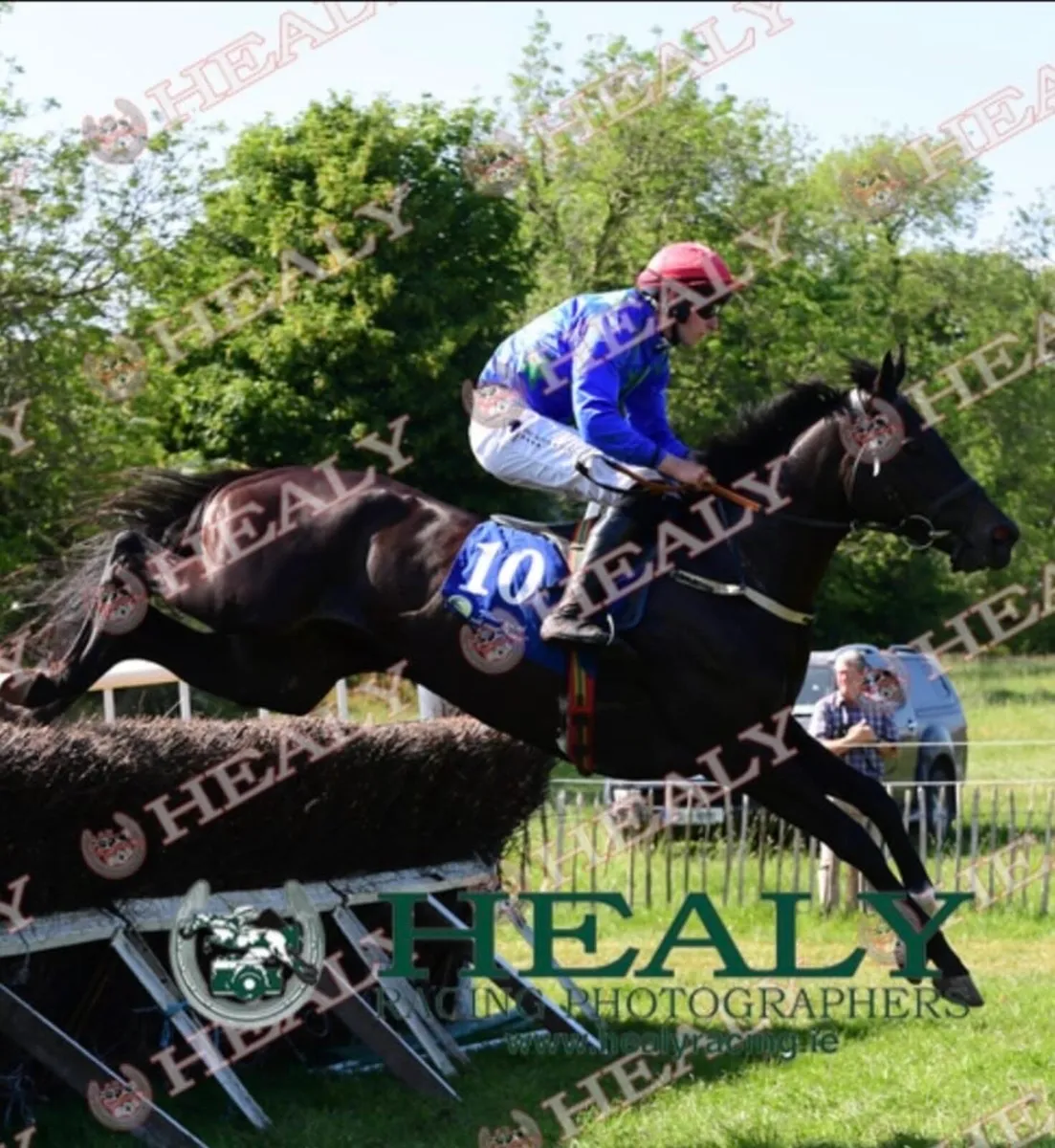 Ideal Racing Novice Rider Prospect - Image 2
