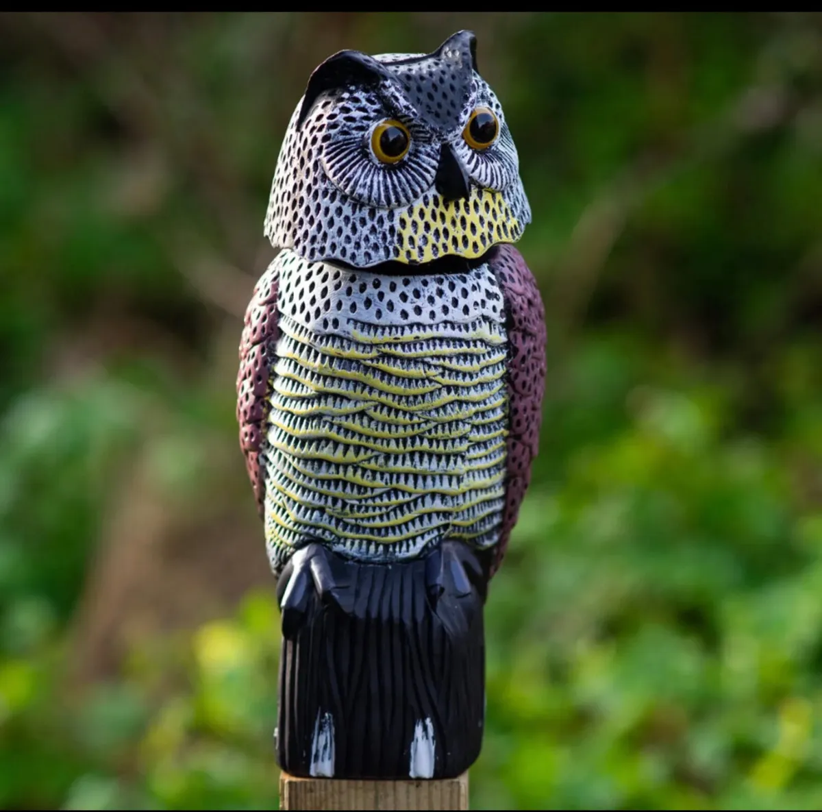 Realistic Bird Pigeon Scarecrow - Image 2