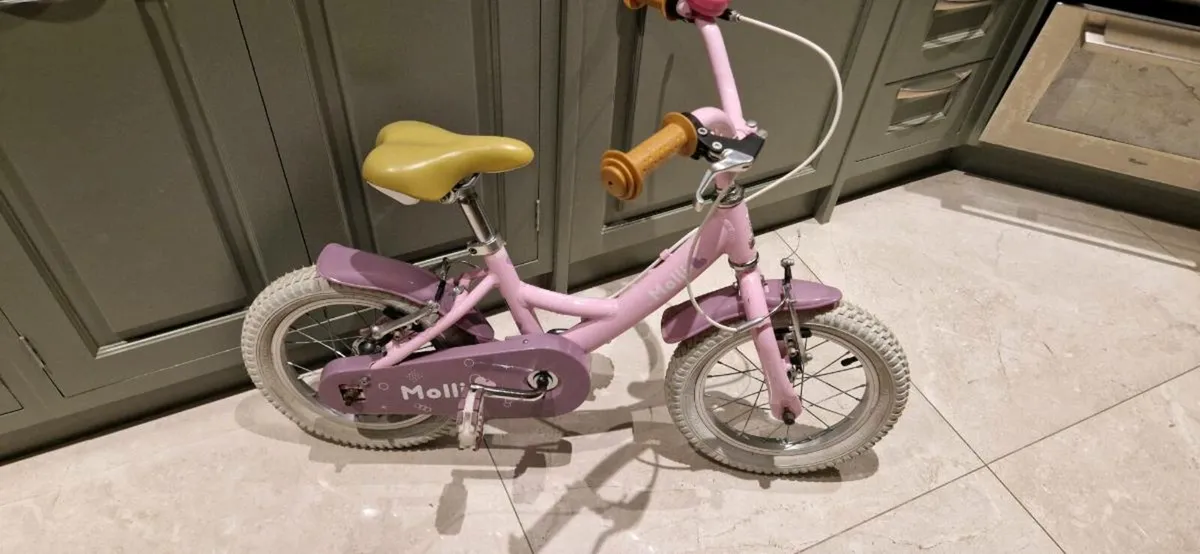 Girls 14" Raleigh Molli bike - Image 1