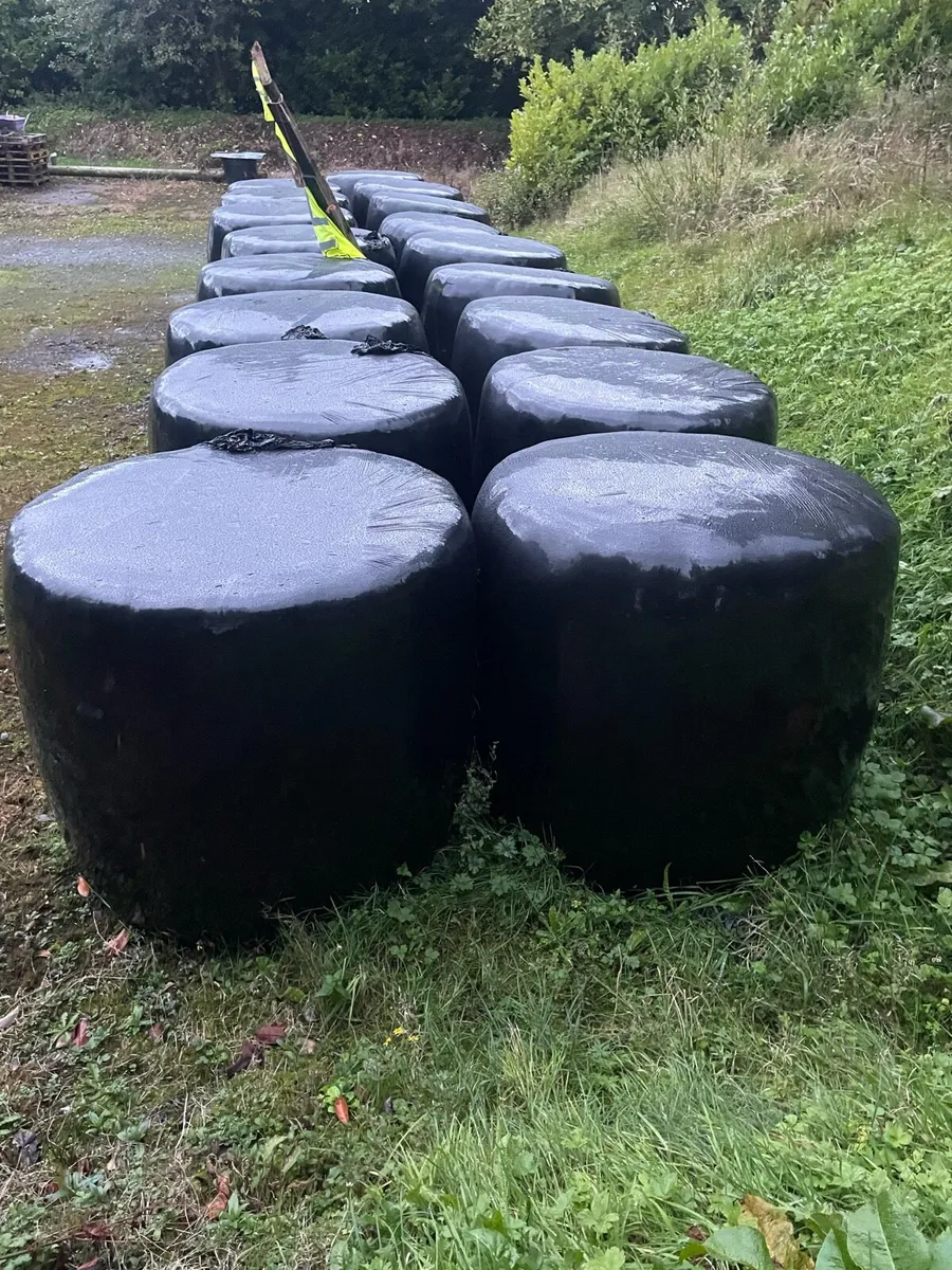 Round bales - Image 1