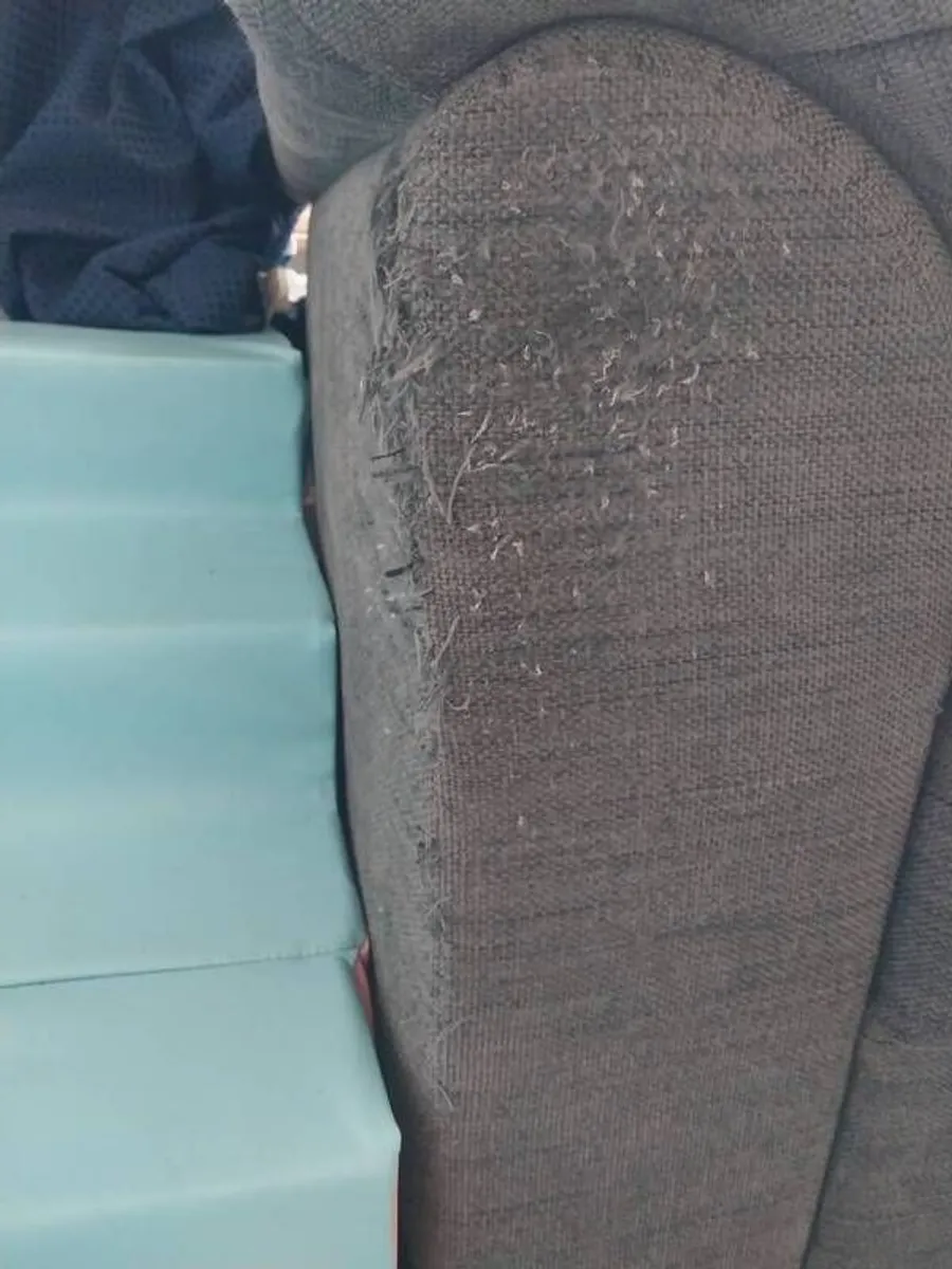 couch - Image 2