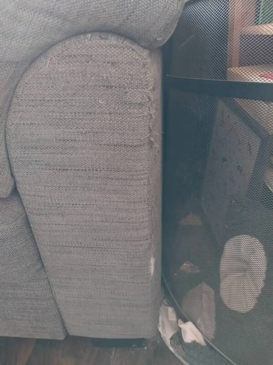 couch - Image 3