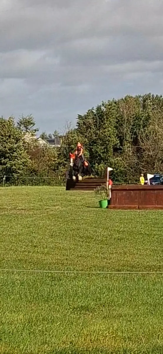 Pony - Image 1