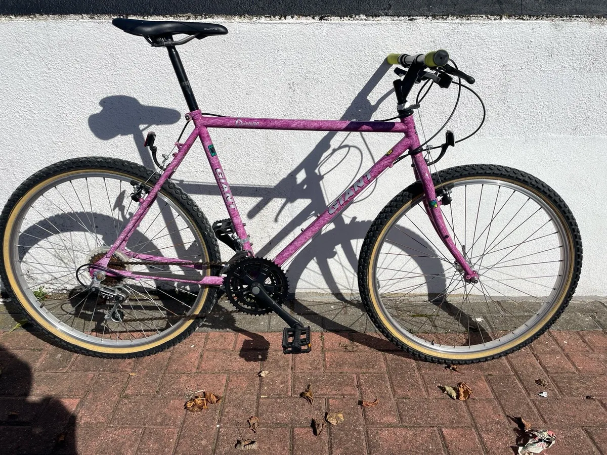 Vintage Giant Mountain Bike - Image 1