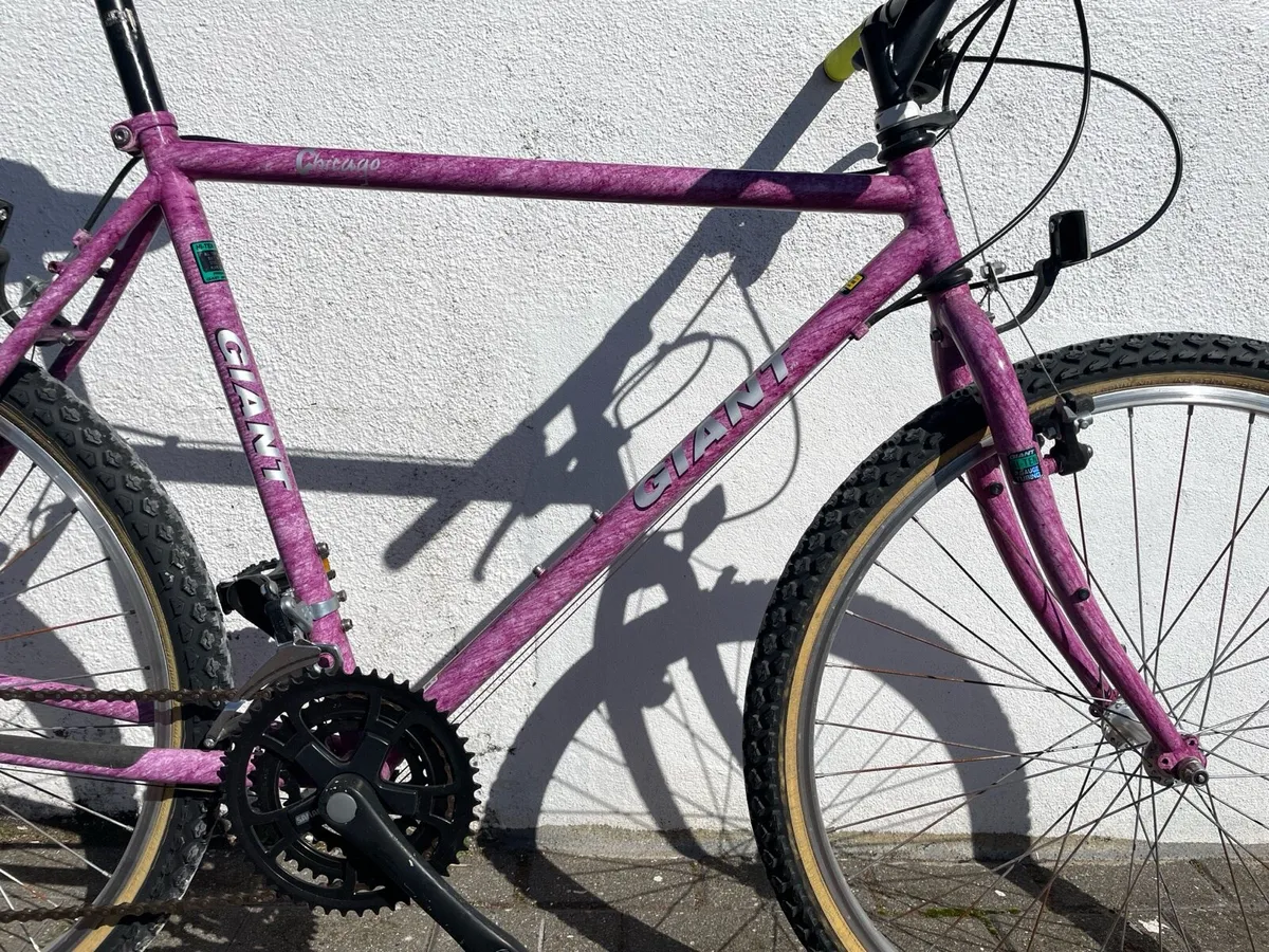 Vintage Giant Mountain Bike - Image 2