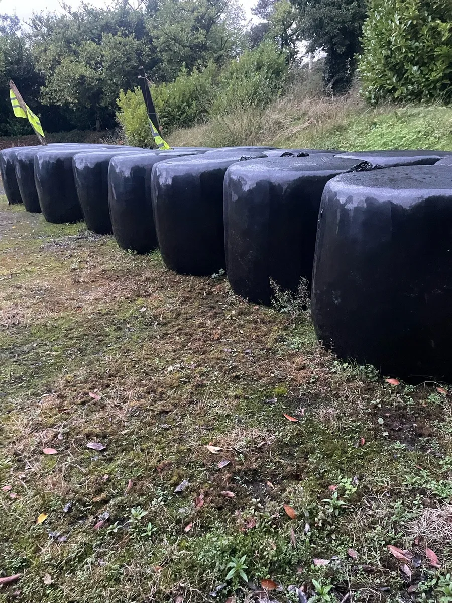 Round bales - Image 2