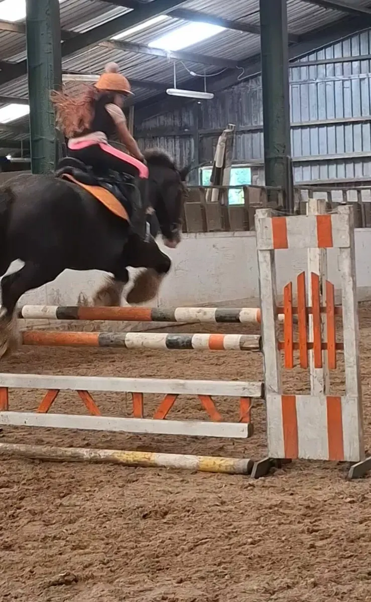 Pony - Image 3