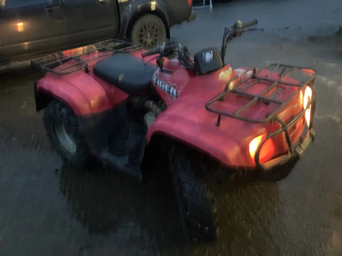 Suzuki eiger 400cc 4wd - Image 2