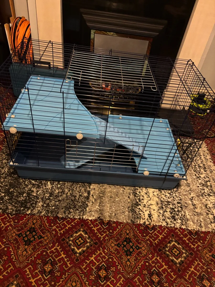 Rabbit cage - Image 2