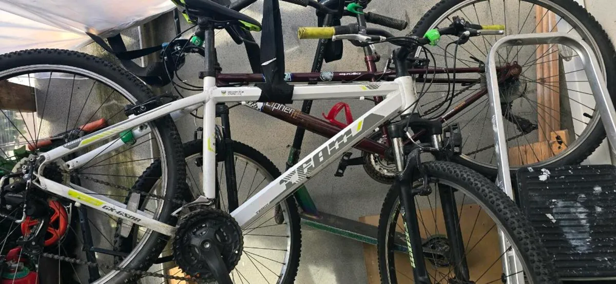 Bike - Image 1