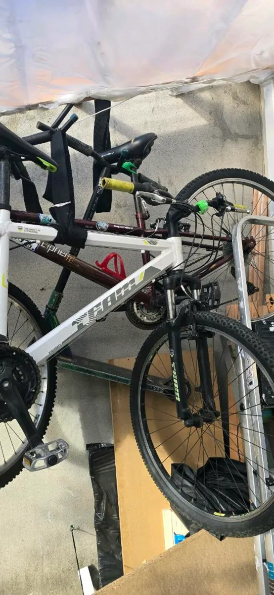 Bike - Image 2