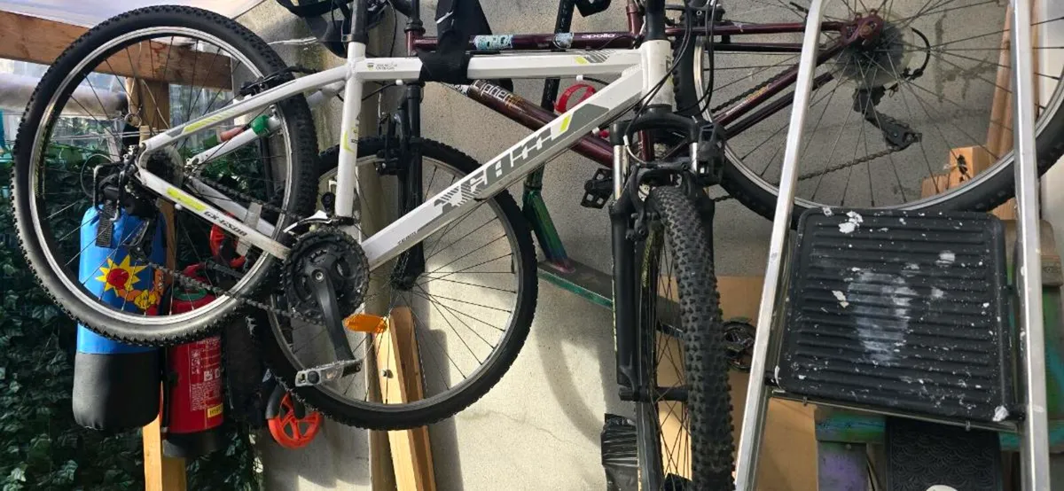 Bike - Image 3