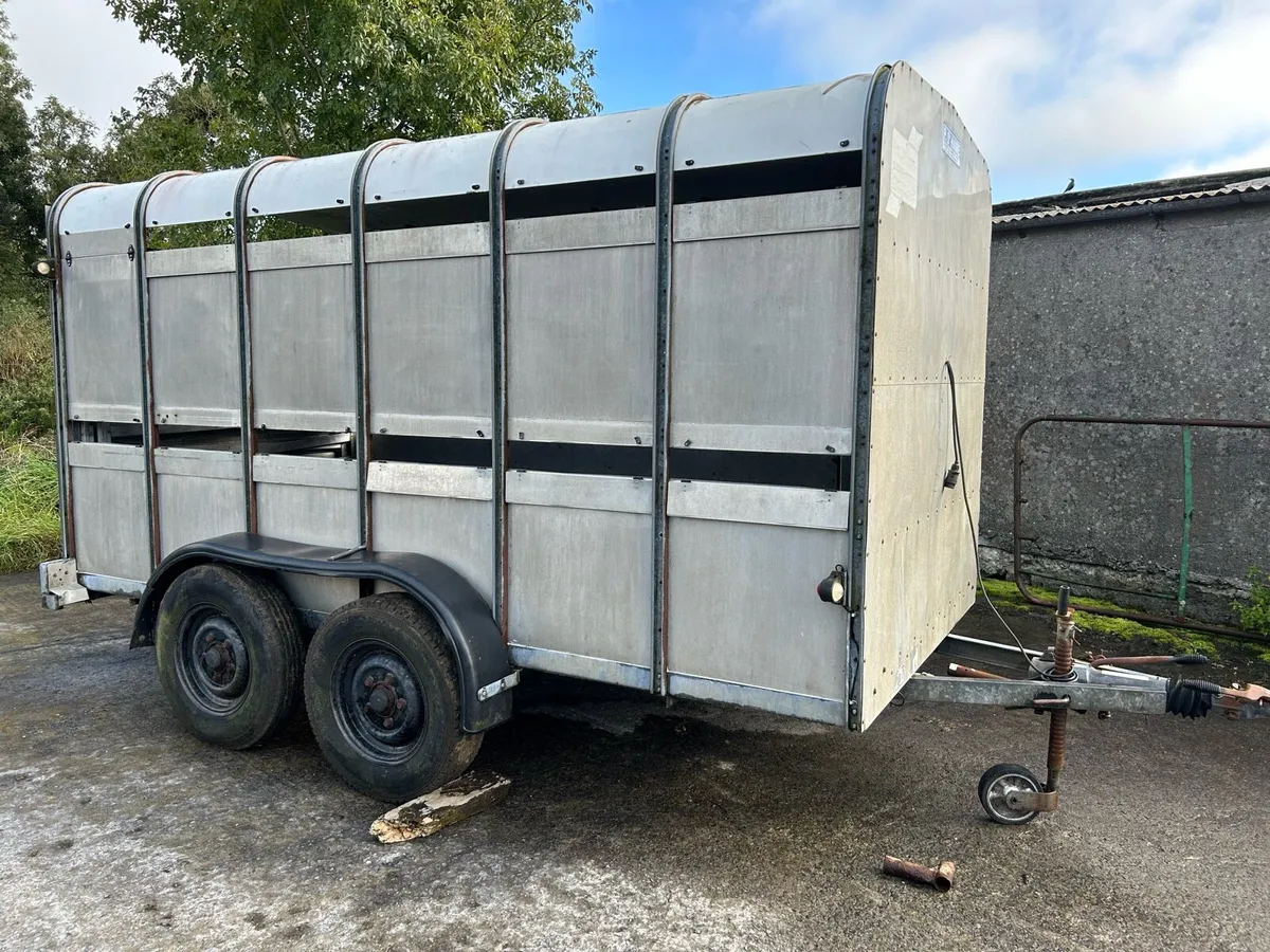 Ifor Williams 12 ft Trailer - Image 2