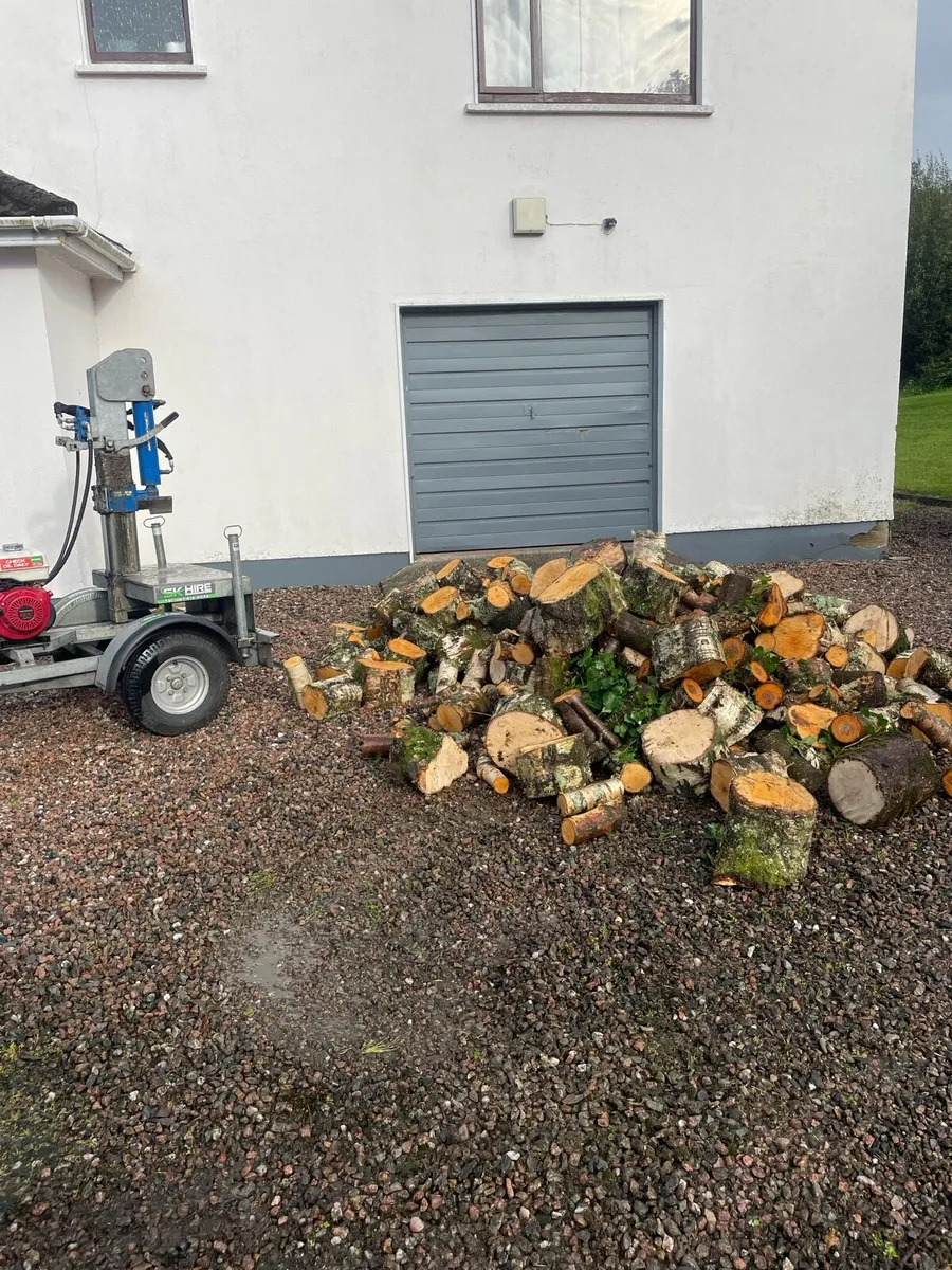 Log splitting - Image 2