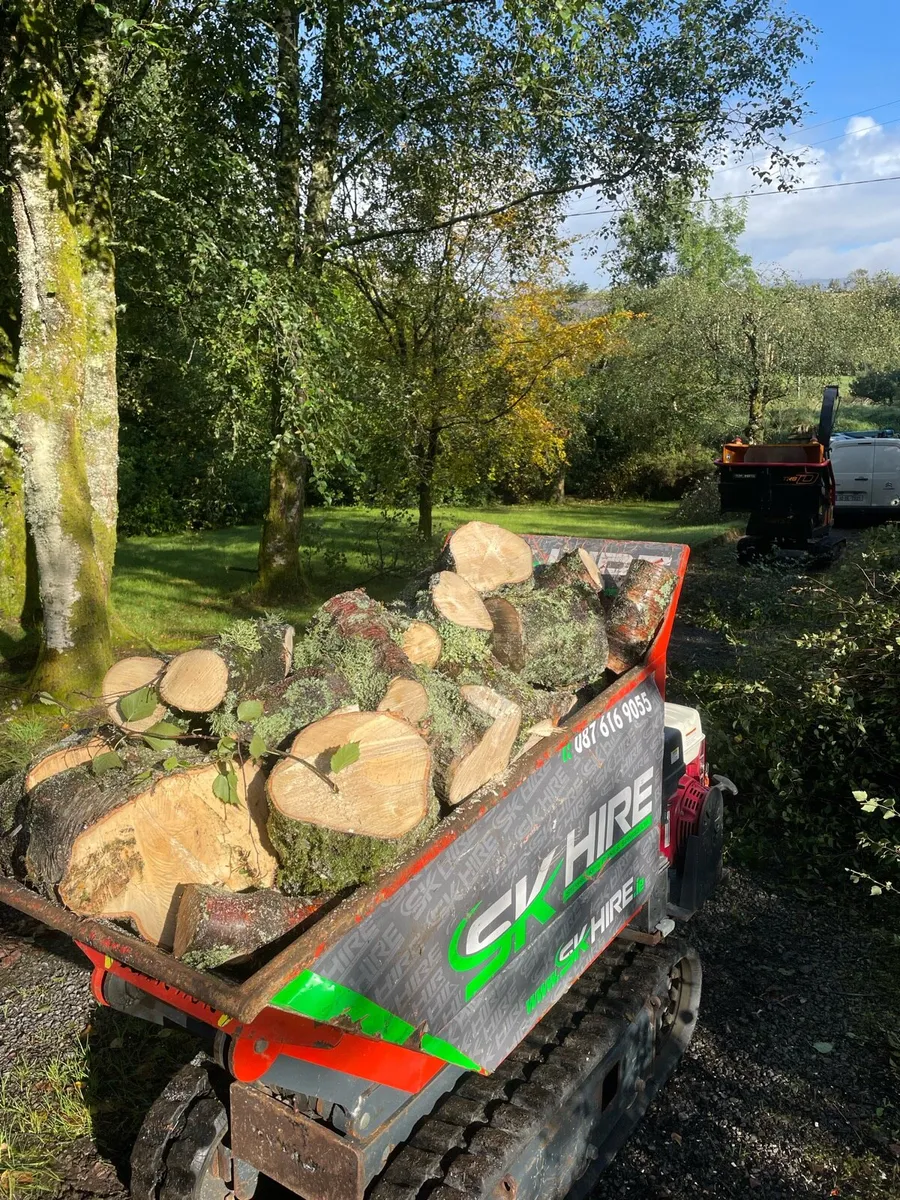Timber logging / brush chipping - Image 4