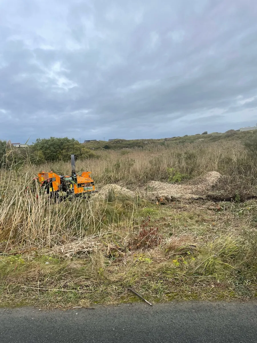 Land clearing service - Image 2