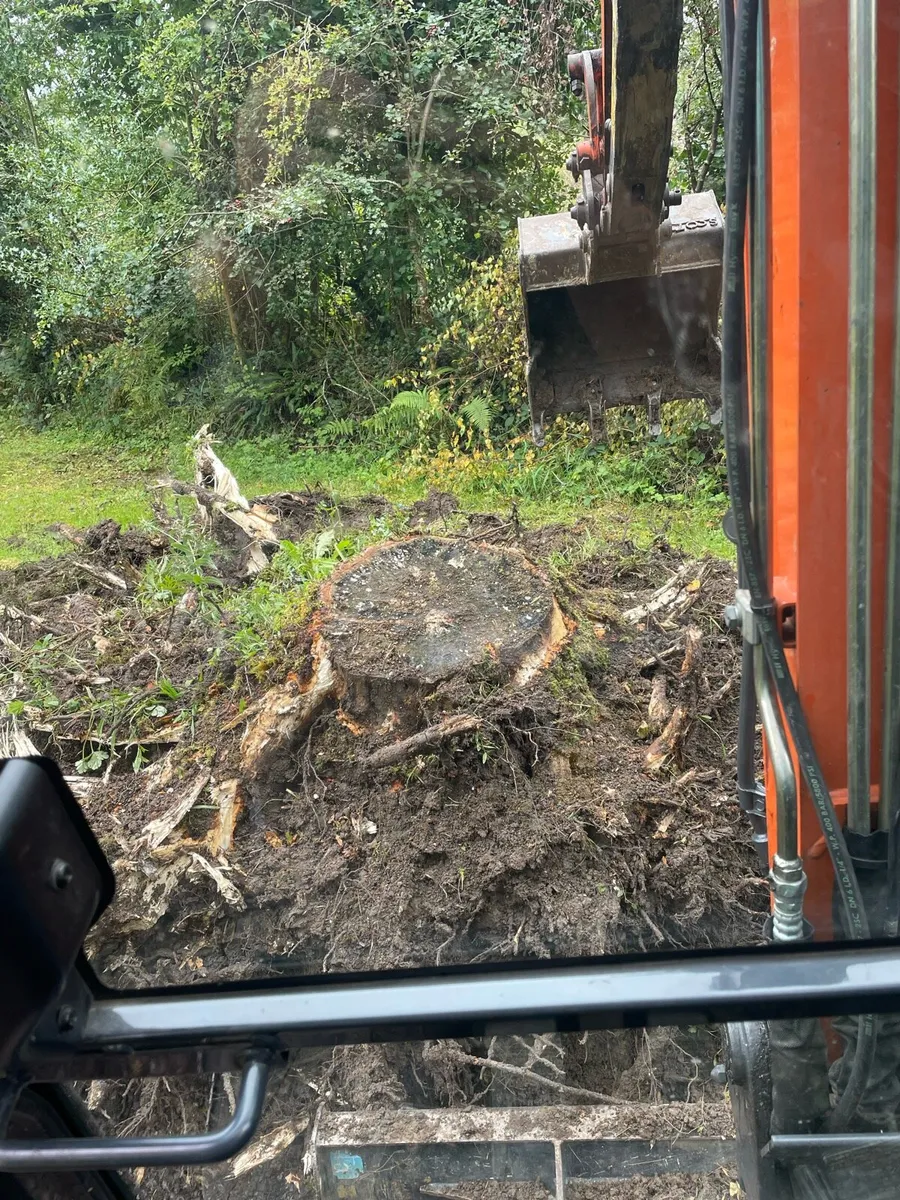 Land clearing service - Image 4
