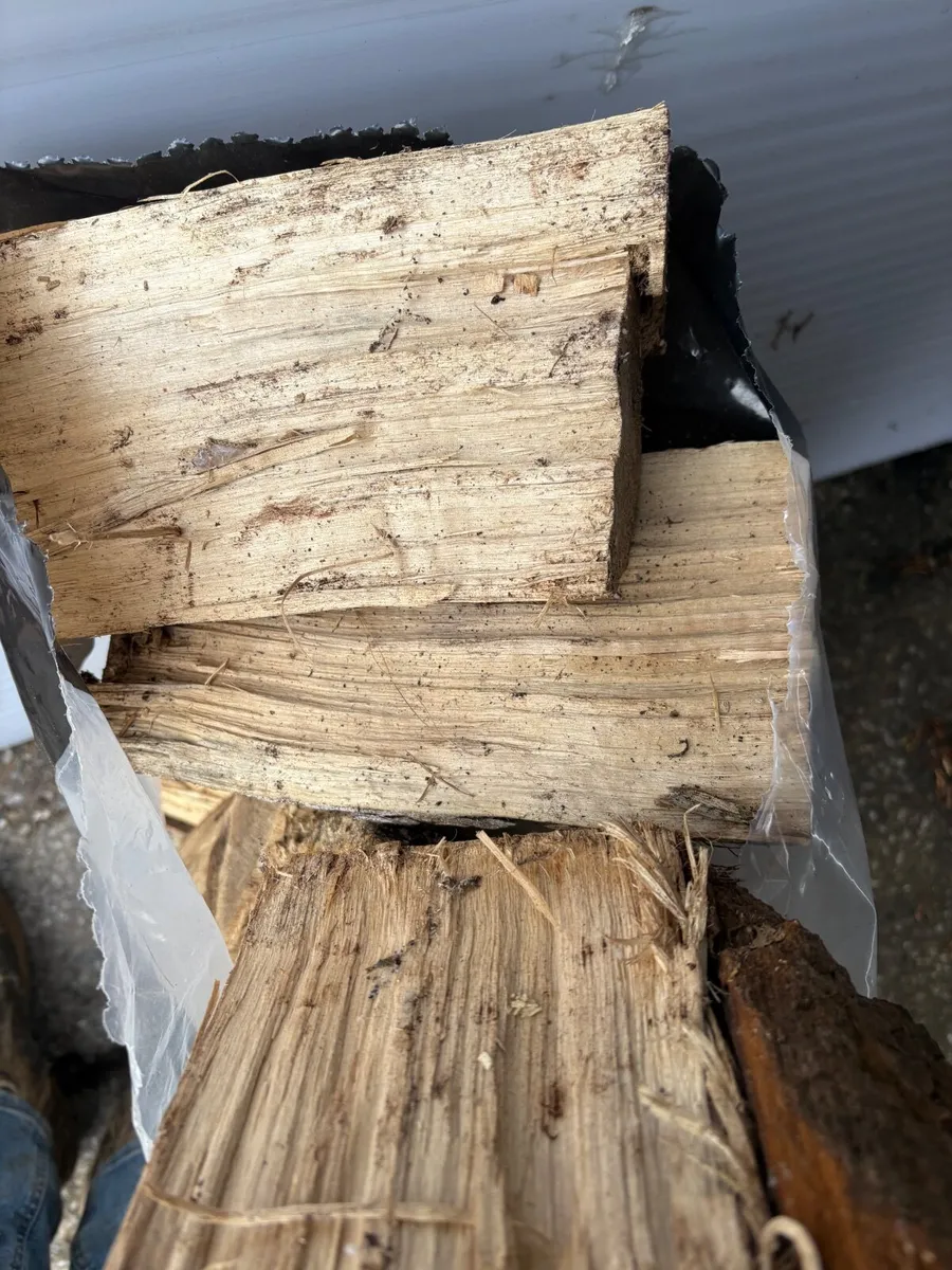 Dry firewood - Image 2
