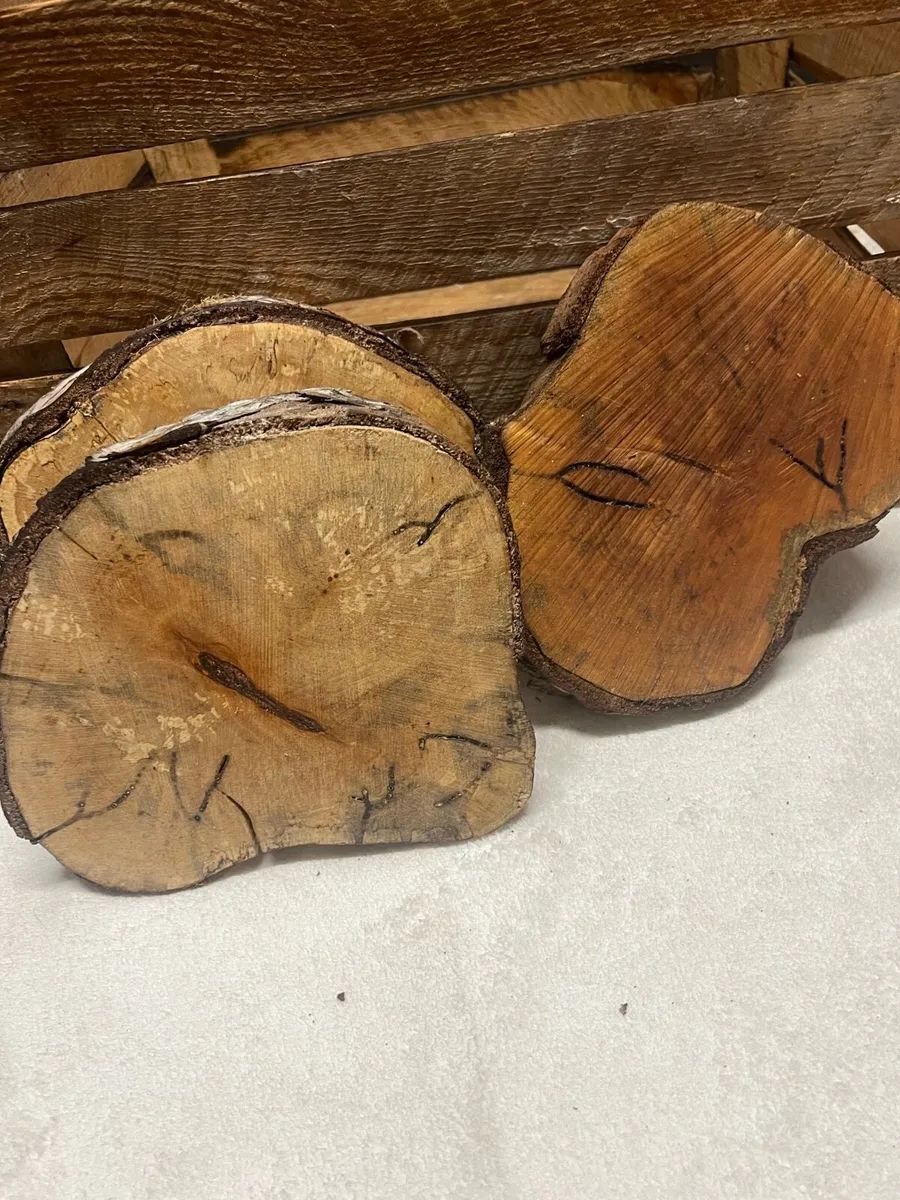 Birch wood slices - Image 1