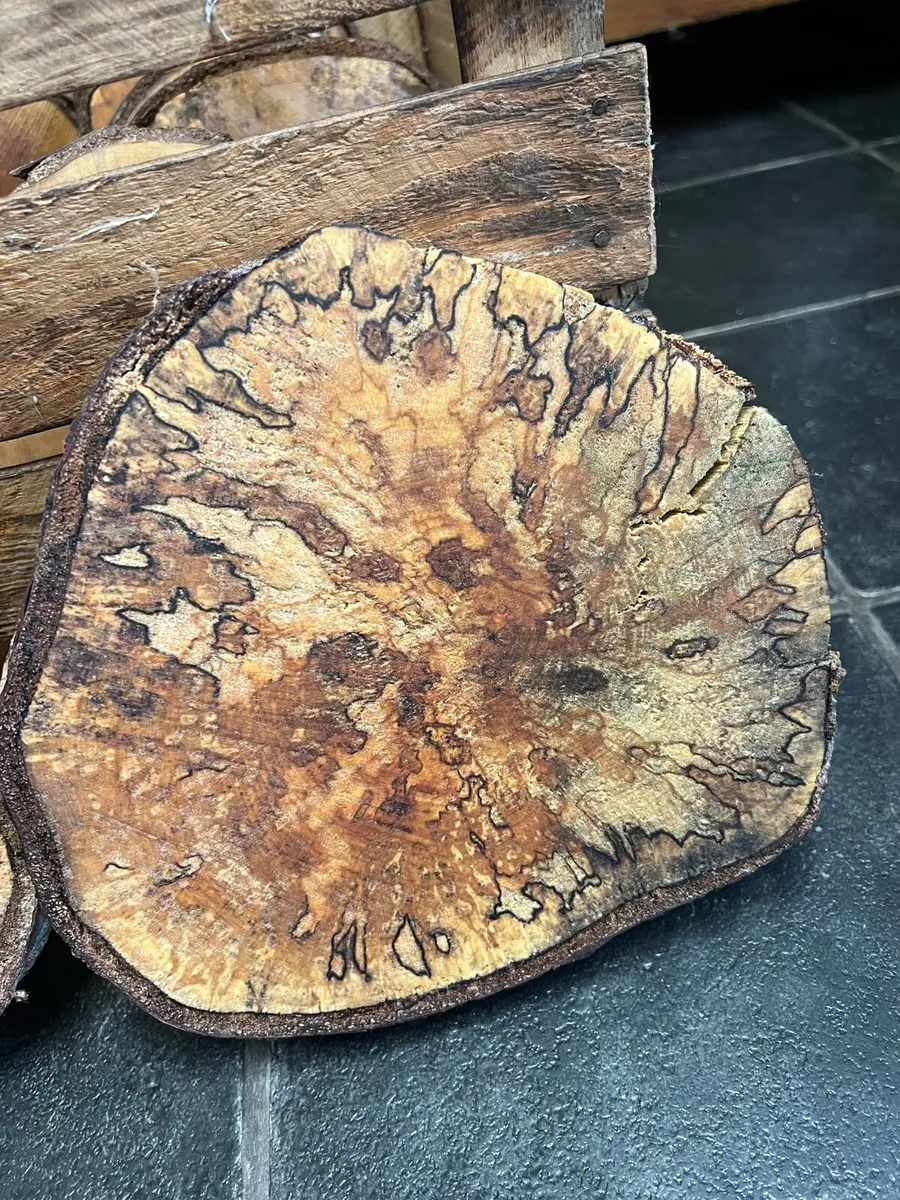 Birch wood slices - Image 3