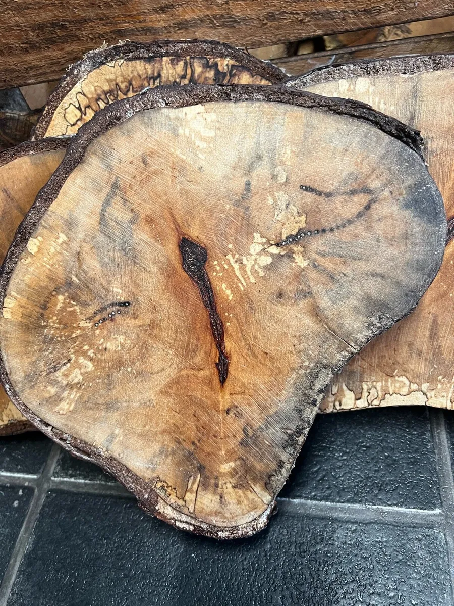 Birch wood slices - Image 4