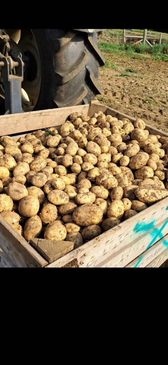 Feed Potatoes