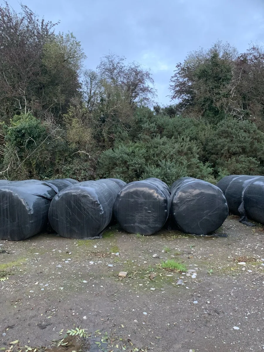Round bales of haylage and hay - Image 3