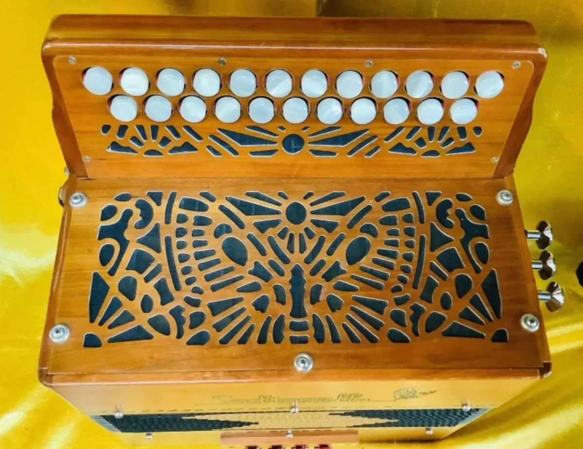 SALTARELLE NUAGE D/G 3 V IRISH STYLE ACCORDION - Image 3