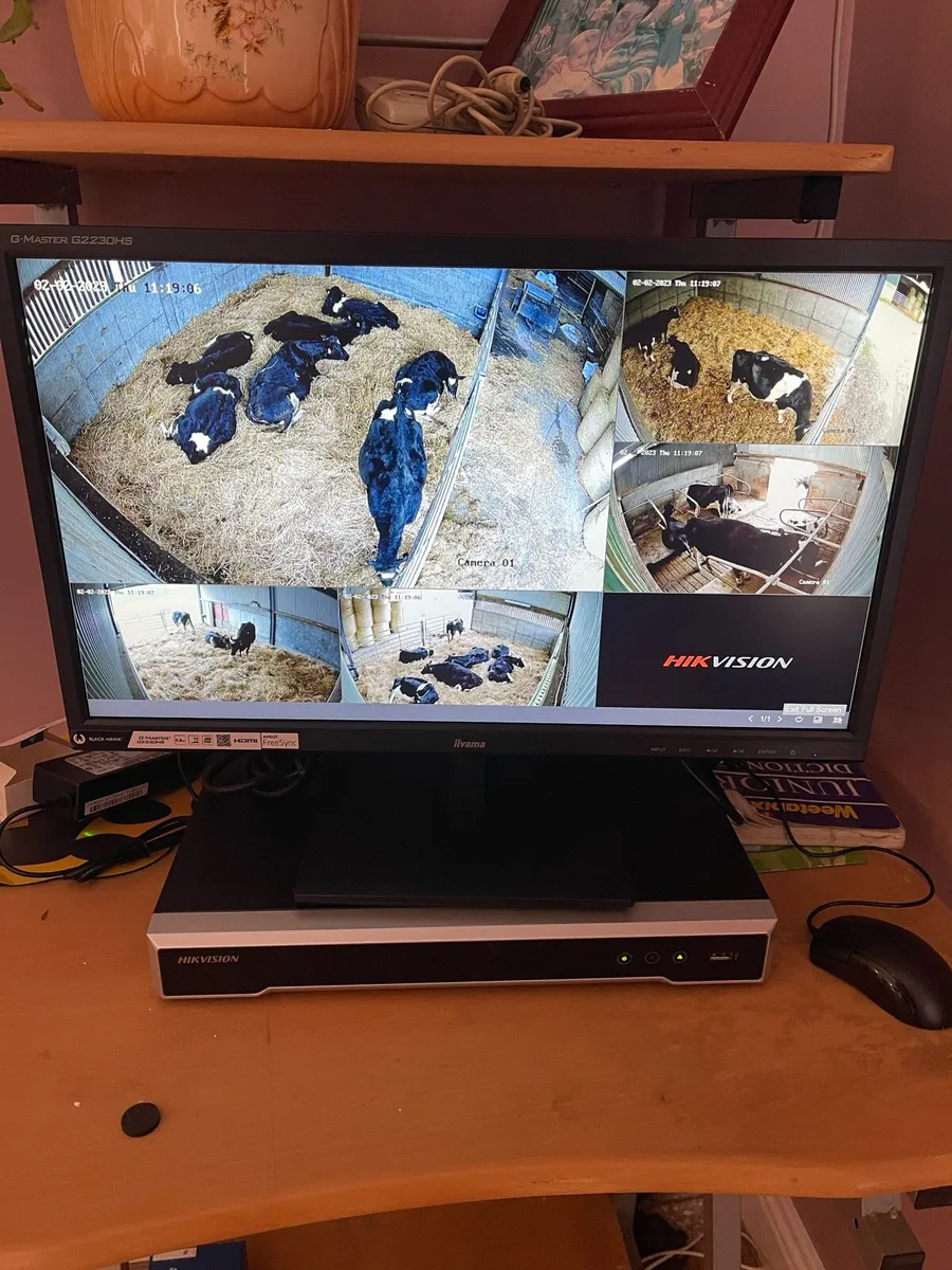 Calving CCTV - Image 1