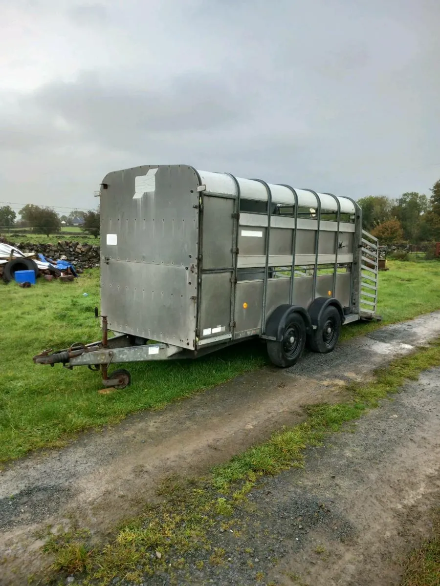 Ifor Williams 12x6 livestock trailer - Image 3